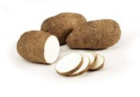 FRESH WHITE YAM (EACH)