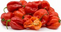 FRESH SCOTCH BONNET CHILLIES (~1KG)