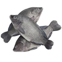 FROZEN TILAPIA (2KG)