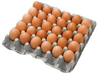 CHICKEN EGG TRAY (30 EGGS)