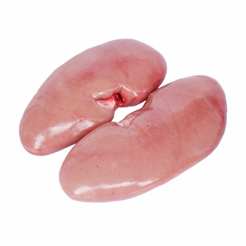 FRESH PIG KIDNEY (Each)