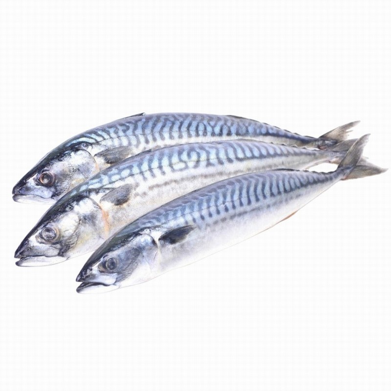 FROZEN MACKERAL (~1KG)
