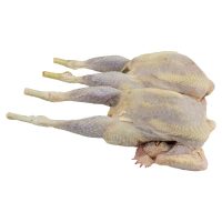 FRESH HARD CHICKEN (EACH)