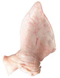 FRESH RAW PIG EARS (EACH)