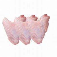 FROZEN TURKEY WINGS (x2)