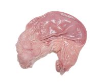 FRESH PIG MAWS/HOG MAWS (STOMACH) (~1KG)