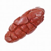 FRESH OX/BEEF KIDNEY (~1KG)