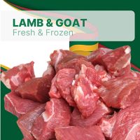 Lamb & Goat